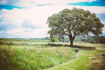 פנסיון Domaine De Salente