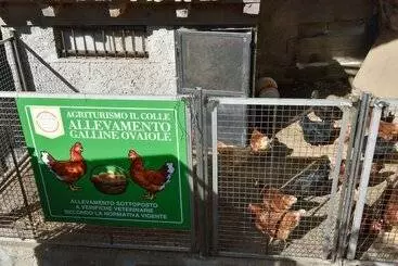 Hotel Agriturismo Il Colle