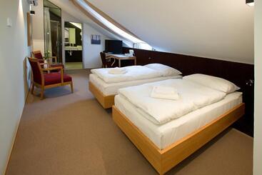 בית מלון כפרי Purkmistr