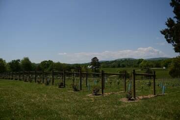 Woodville Bed And Breakfast