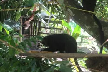 Hotel Eware Refugio Amazonico