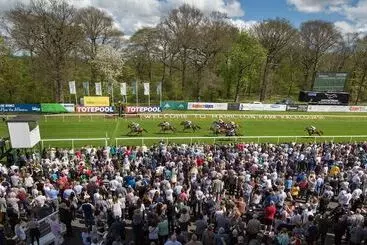 Hotel Hampton By Hilton Hamilton Park