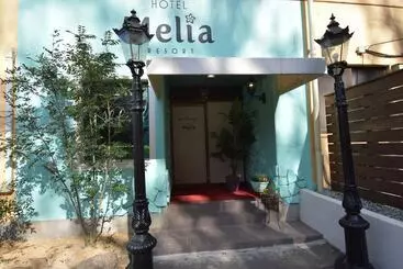 Hotel Melia Resort