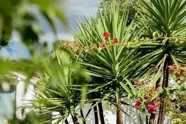 Boutique Hotel Rancho Los Lobos