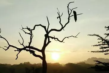 Pensió Lake Front Yala Safari