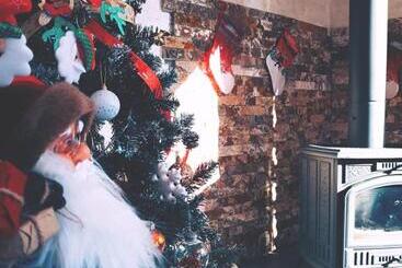 پانسیون Old View