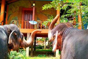 Hotel Luck Uyana Cabana Pinnawala