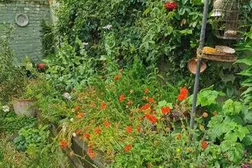 Bed and Breakfast Rosslyn Court