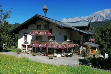 هاستل Schererhof