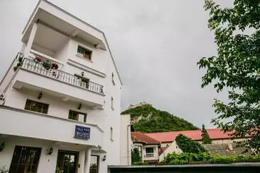 Pensiunea Vila Europa