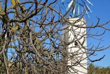 Pension Agroturismo Finca Son Amora