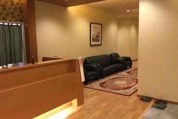 מלון כמוסות Oyado Haru S