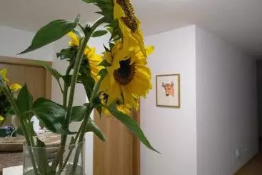 Pensione Duerming Villa De Arzúa