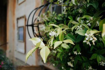 ホテル Hôtel Particulier Des Jasmins