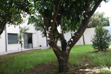 פנסיון Residencia Mayol - Adults Only