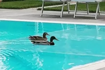 Pensione Foresteria Villa Margherita