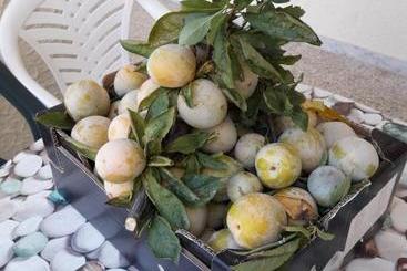 Aparthotel La Palma Residence Torre San Giovanni