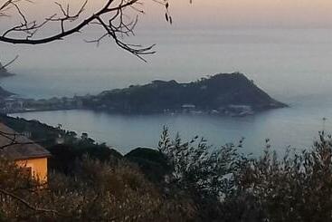 Отель Villa Jolanda