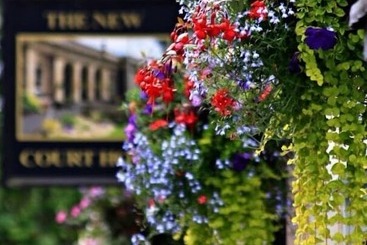 旅馆 The New Court Inn