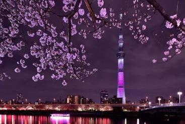 פנסיון Rainbow Village Ueno