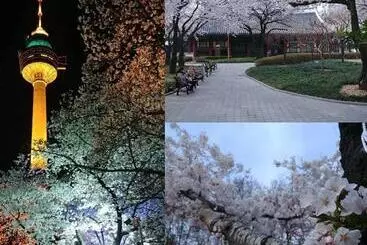 پانسیون Bomgoro Guesthouse