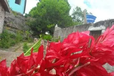 ペンション Pousada Recanto Verde