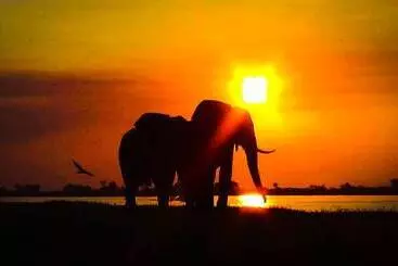 Pensión Elephant Trail Guesthouse And Backpackers