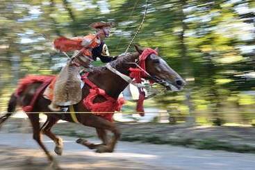 فنادق الكبسولة Calendar
