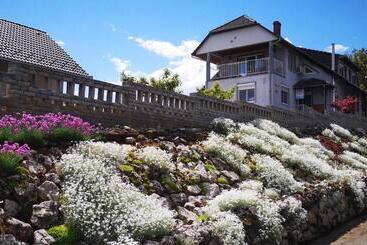 Pensiune Szabó Vendégház