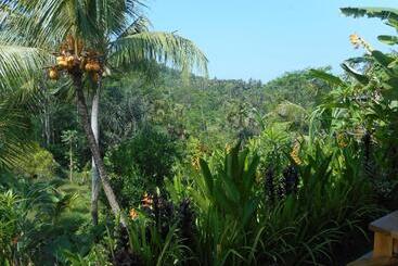 Pension Cegeng Lestari Guest House