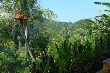 Pensionat Cegeng Lestari Guest House