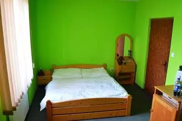 Pensjonat Villa Silver Green