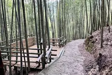 Pension Bo Zho Villa