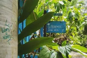 Pensión Hostal La Bohemia