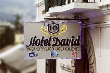 Hotel David
