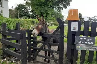 Pension Abhainn Ri Farmhouse
