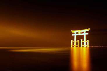 Hotel Palms Adults Only