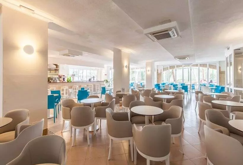 酒店 Blue Sea Costa Verde