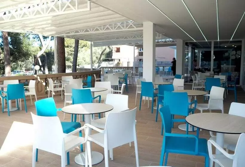 酒店 Blue Sea Costa Verde