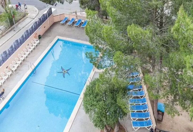 酒店 Blue Sea Costa Verde