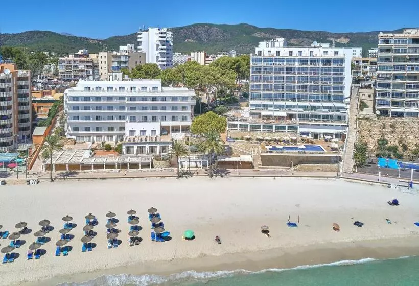 בית מלון כפרי Spa Flamboyan Caribe