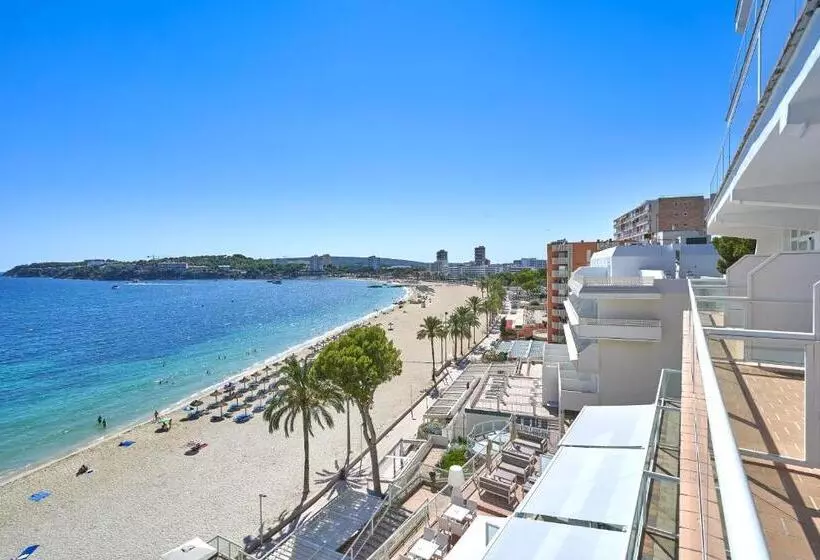 בית מלון כפרי Spa Flamboyan Caribe