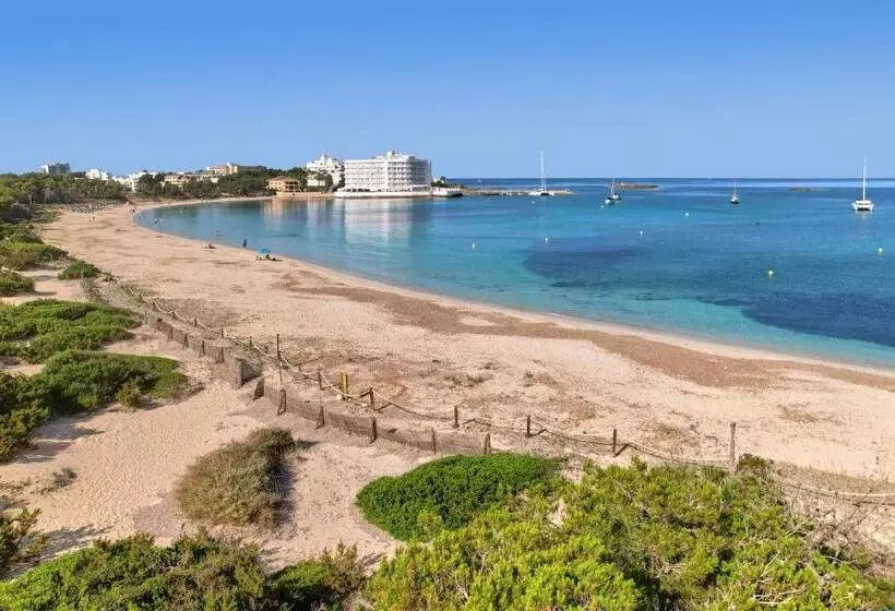 Universal Hotel Marqués