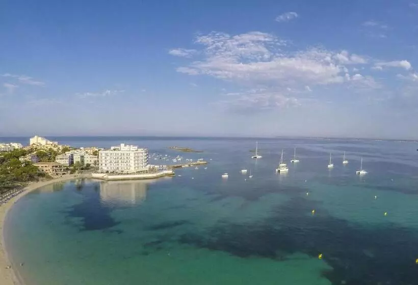 Universal Hotel Marqués