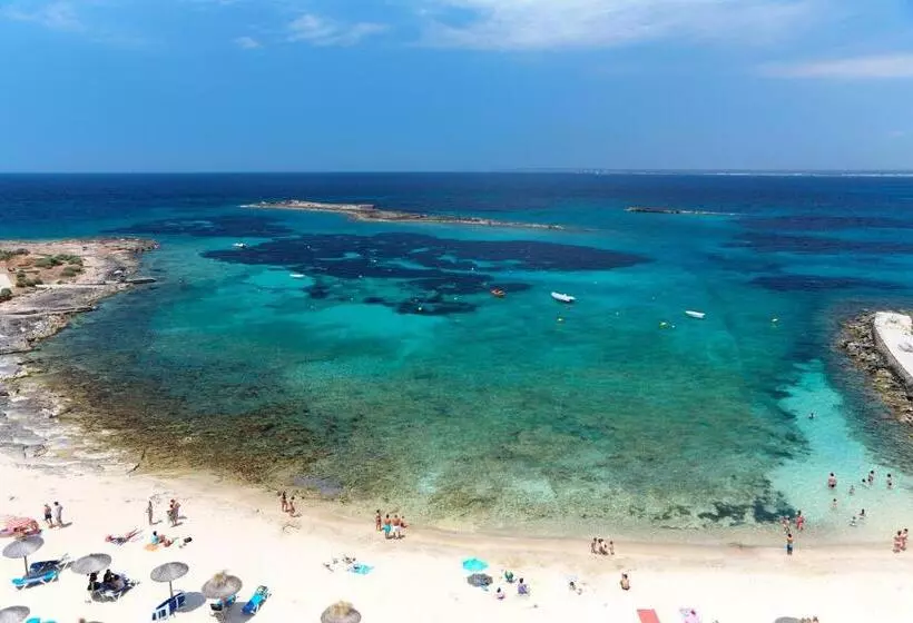 Universal Hotel Marqués