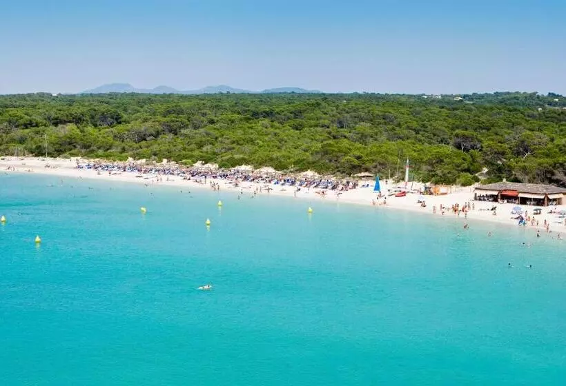 Universal Hotel Marqués