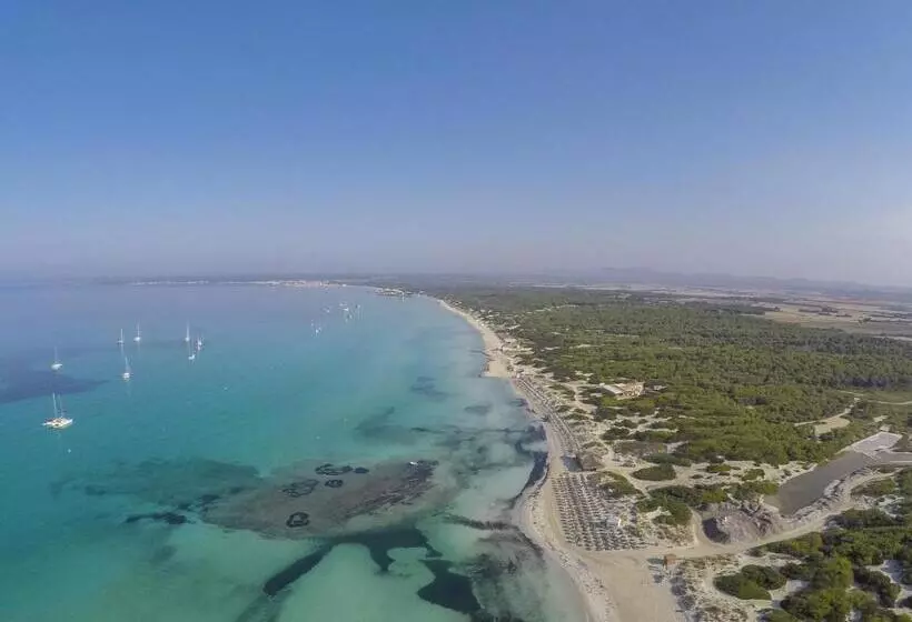 Universal Hotel Marqués