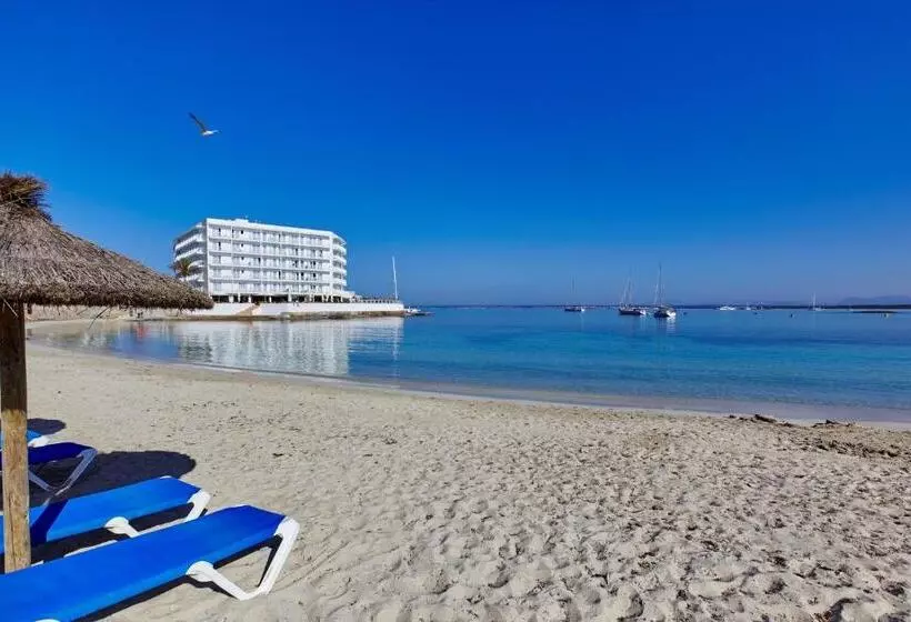 Universal Hotel Marqués