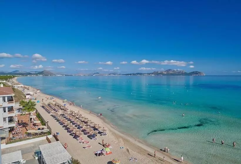 The Sea Hotel By Grupotel   Adults Only