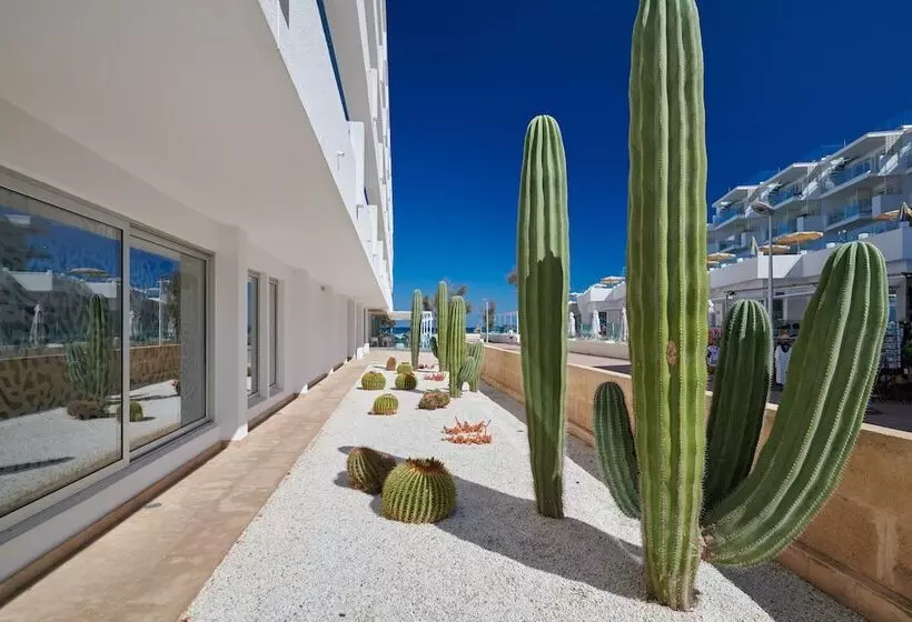 The Sea Hotel By Grupotel   Adults Only